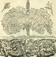 An illustration from I dieci libri d'architettvra (1660)