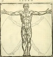 An illustration from I dieci libri d'architettvra (1660)