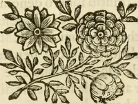 An illustration from I dieci libri d'architettvra (1660)