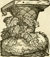 An illustration from I dieci libri d'architettvra (1660)