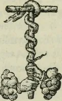 An illustration from I dieci libri de l'architettura di Leon Battista de gli Alberti Fiorentino ... (1546)