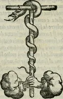 An illustration from I dieci libri de l'architettura di Leon Battista de gli Alberti Fiorentino ... (1546)