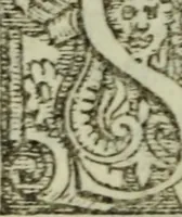 An illustration from I dilettevoli : sermoni, altrimenti satire, e le morali epistole di Horatio, illustre poeta lirico, insieme con la poetica (1559)