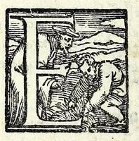 An illustration from I dissimili : comedia (1550)
