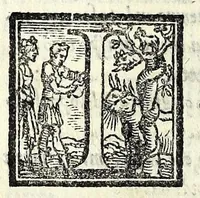 Picture 6 of 8 from I dissimili : comedia (1550), leaf 54