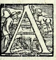 Picture 2 of 8 from I dissimili : comedia (1550), leaf 7