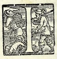 An illustration from I dissimili : comedia (1550)