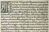 An illustration from Ierusalem, vetustissima illa et celeberrima totius mundi ciuitas : ex sacris literis et approbatis historicis ad unguem descripta : una cum orthodoxis figurae ac ueritatis explicationibus, iuxta scripturarum Veteris ac Noui Testamenti accuratam collationem : ac quaenam huius urbis, templique & omnium aliorum, tam intra quàm extra moenia locorum atque gestorum mystica sit repraesentatio : quid etiam peregrina propria nomina in tota passim histoira commemorata, signifcent at[que] denotent (1563)