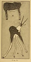 An illustration from Iets oor die Boesmankultuur (1920)