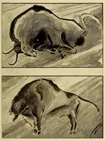An illustration from Iets oor die Boesmankultuur (1920)