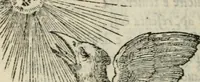Picture 17 of 18 from I fantasmi : comedia del S. Hercole Bentivoglio (1547), leaf 171