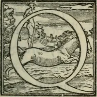 An illustration from I fantasmi : comedia del S. Hercole Bentivoglio (1547)