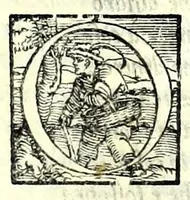 An illustration from I fantasmi : comedia (1545)