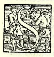 Picture 8 of 9 from I fantasmi : comedia (1545), leaf 67