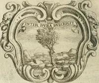 An illustration from Ignatius : insignium, epigrammatum et elogiorum centuriis expressus (1655)