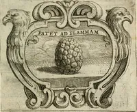 Picture 99 of 104 from Ignatius : insignium, epigrammatum et elogiorum centuriis expressus (1655), leaf 302