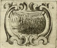 Picture 73 of 105 from Ignatius insignium : epigrammatum et elogiorum centuriis expressus (1655), leaf 223