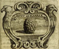 An illustration from Ignatius : insignium, epigrammatum et elogiorum centuriis expressus (1655)