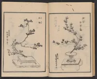 An illustration from Ikebana chiyo no matsu (1818)