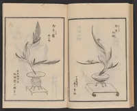 An illustration from Ikebana chiyo no matsu (1818)