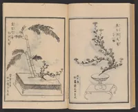 An illustration from Ikebana chiyo no matsu (1818)
