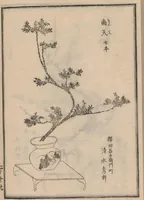 An illustration from Ikebana chiyo no matsu (1818)