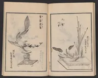 Picture 4 of 4 from Ikebana chiyo no matsu (1818), leaf 25
