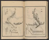 An illustration from Ikebana chiyo no matsu (1818)