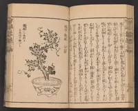 An illustration from Ikebana hayamanabi (1851)