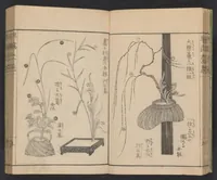 An illustration from Ikebana hayamanabi (1851)