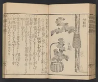 An illustration from Ikebana hayamanabi (1851)