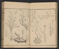 An illustration from Ikebana hayamanabi (1851)