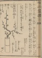 An illustration from Ikebana hayamanabi (1851)