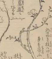 An illustration from Ikebana hayamanabi (1851)