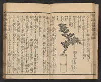 An illustration from Ikebana hayamanabi (1851)