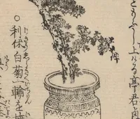 An illustration from Ikebana hayamanabi (1851)