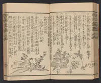 An illustration from Ikebana hayamanabi (1851)