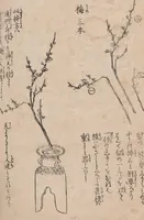 An illustration from Ikebana hayamanabi (1851)