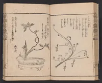 An illustration from Ikebana hayamanabi (1851)