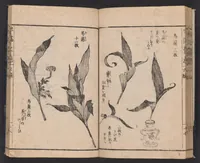 An illustration from Ikebana hayamanabi (1851)
