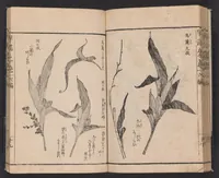 An illustration from Ikebana hayamanabi (1851)