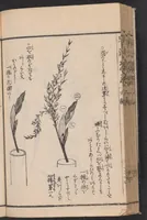 An illustration from Ikebana hayamanabi (1851)