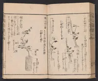 An illustration from Ikebana hayamanabi (1851)