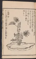 An illustration from Ikebana hayamanabi (1851)