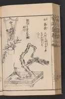 An illustration from Ikebana hayamanabi (1851)