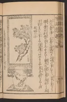 An illustration from Ikebana hayamanabi (1851)