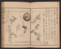 An illustration from Ikebana hayamanabi (1851)