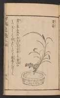 An illustration from Ikebana hayamanabi (1851)