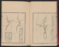 An illustration from Ikebana tebikigusa : Seizan Onke Goryū (1868)
