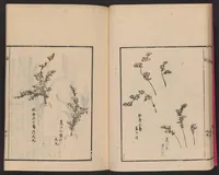 An illustration from Ikebana tebikigusa : Seizan Onke Goryū (1868)